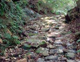 Historical Path “Three Hills in Aira ( Aira-no Misaka / 姶良の三坂) <br />～Walk The Stone Paved Paths laid in Edo Era<br />Part1： SHIRAKANE-ZAKA (白銀坂)