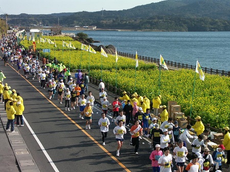 IBUSUKI RAPE BLOSSOMS MARATHON RACE (IBUSUKI NANOHANA MARATHON TAIKAI /  いぶすき菜の花マラソン大会)