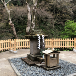 Cat Shrine in Sengan-en (猫神社)