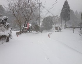 雪の影響で鹿児島県全域に交通の乱れ