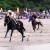 KUSHIKINO BEACH HORSE RACE 2018  (KUSHIKINO HAMA-KEIBA TAIKAI /  串木野浜競馬大会 2018)