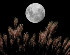 今夜は中秋の名月 (2021年9月21日)、そして満月